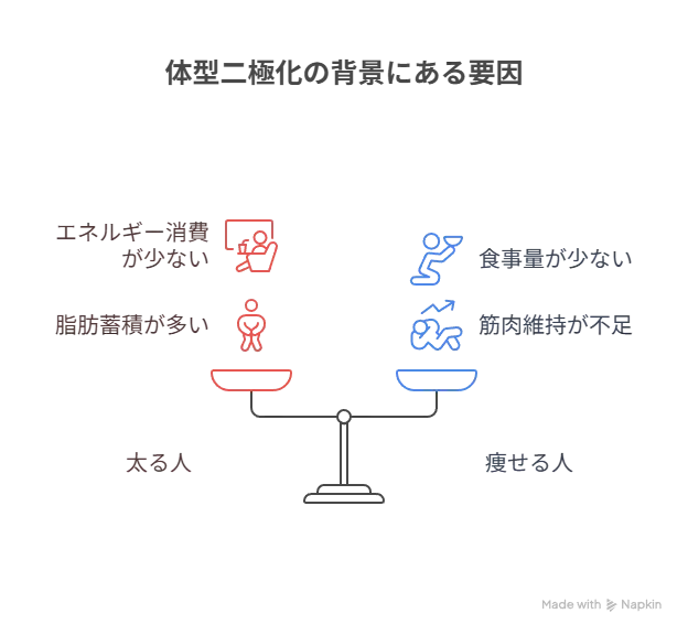 50代の体型二極化